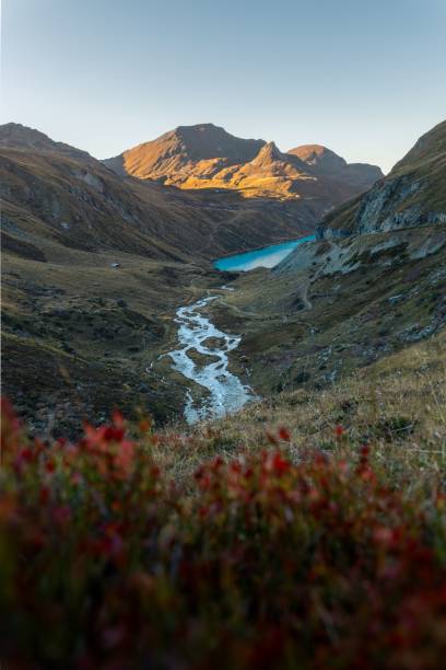 istock Stream winding through the valley to the Moiry lake 1742829507