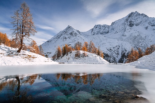 Autumnal landscape view of the Lac Bleu in Arolla with golden larches and snow-covered mountains reflecting in the lake