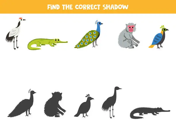Vector illustration of Find shadows of cute Asian animals. Educational logical game for kids.
