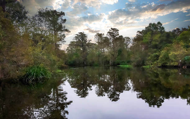 istock New Orleans Bayou 1742838801