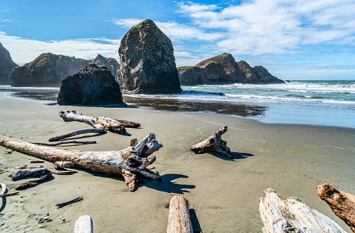 A view of Meyers Creek  Beach with waves and rock formations on the coast of Oregon State.