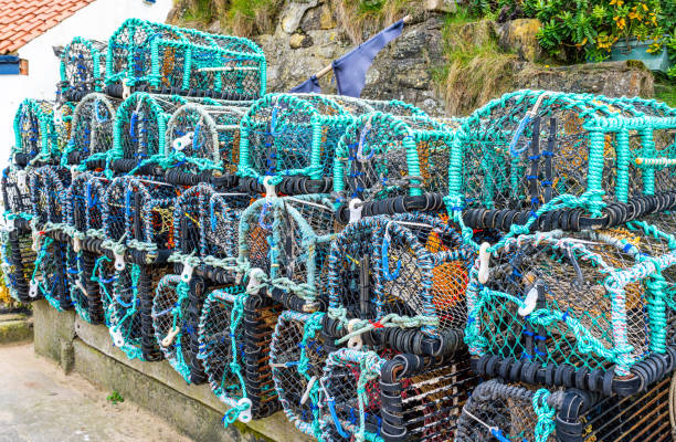 A close up of a lobster pot in Cornwall