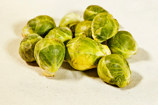 Green Brussel sprouts on cloth , brassica oleracea