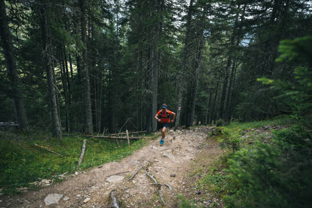 istock Trail runner bounds along mountain trail 1742853136