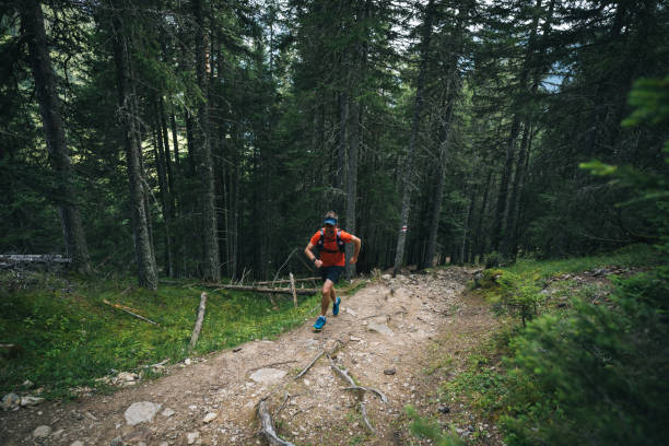 istock Trail runner bounds along mountain trail 1742853137