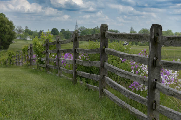 Gettysburg National Military Park Wooden fence marks the edge of the battlefield,  Prairie phlox in bloom gettysburg national cemetery stock pictures, royalty-free photos & images