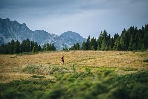 In the forested Swiss Alps, on an autumnal morning