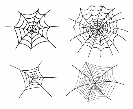set of spider web in the web concept