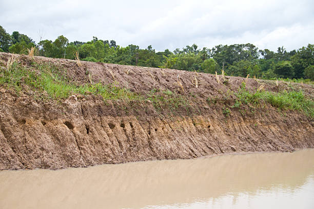 istock Erosion of soil. 174286417