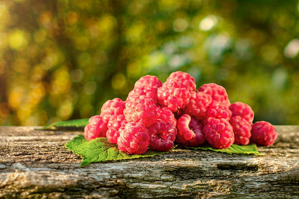 Raspberry