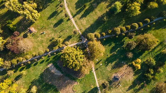 Urban park with meadow, trees and paths. Top view aerial photo from flying drone of a city park with walking path and green zone trees in evening time.