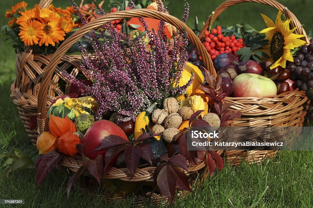 Automne dans panier - Photo de Bruyère libre de droits