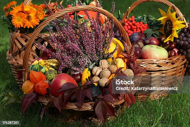 Photo libre de droit de Automne Dans Panier banque d'images et plus d'images libres de droit de Bruyère - Bruyère, Citrouille, Aliment