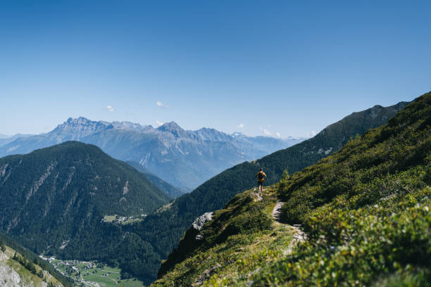 istock Trail runner bounds along mountain trail 1742879638
