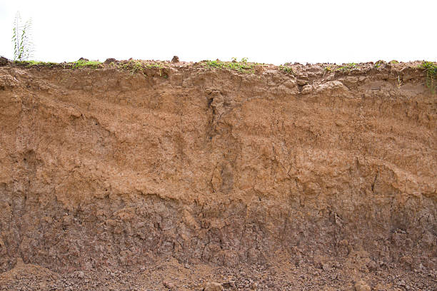 istock Erosion of soil. 174288031