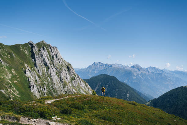 istock Trail runner bounds along mountain trail 1742883479