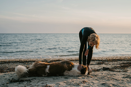 Mature woman in wetsuit petting her pet dog on the beach by the sea in sunset.