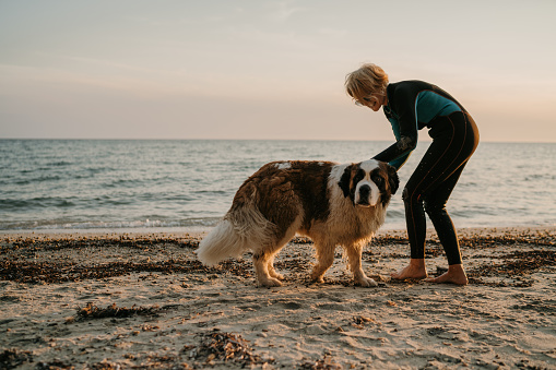 Mature woman in wetsuit with her pet dog on the beach by the sea in sunset.