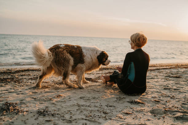 istock Woman with dog on the beach 1742894914