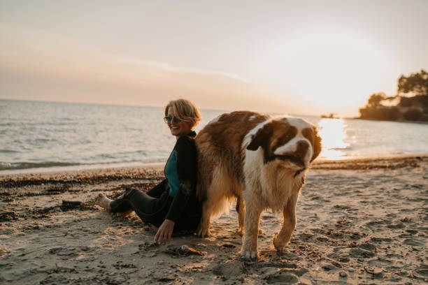 istock Woman with dog on the beach 1742895462