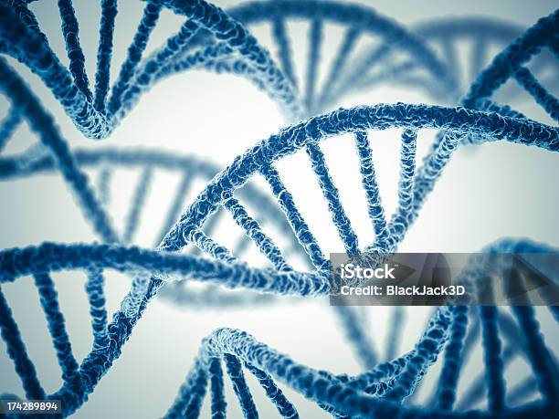 Dna DNA에 대한 스톡 사진 및 기타 이미지 - DNA, 나선구조, 나선 모양