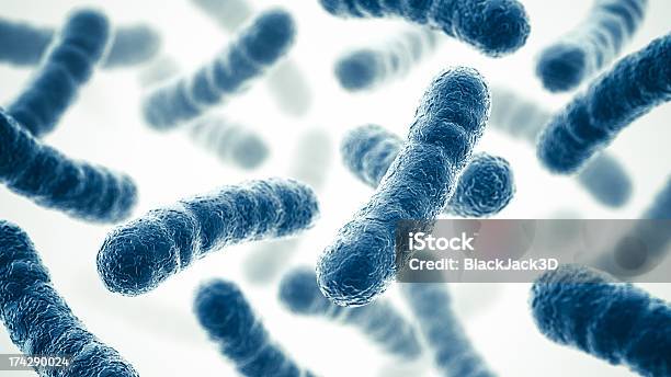 Bacteria Stock Photo - Download Image Now - Bacterium, Genetic Modification, White Background