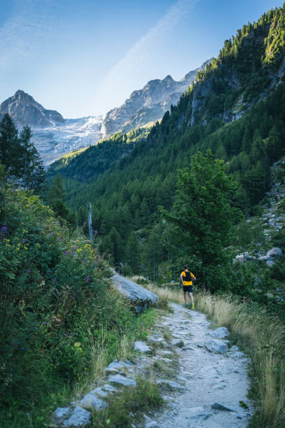 istock Trail runner bounds along mountain trail 1742913311