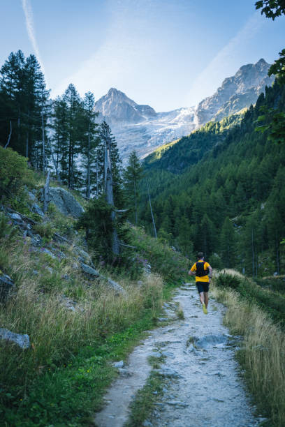istock Trail runner bounds along mountain trail 1742913419