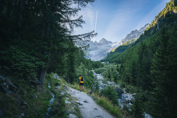 istock Trail runner bounds along mountain trail 1742914612