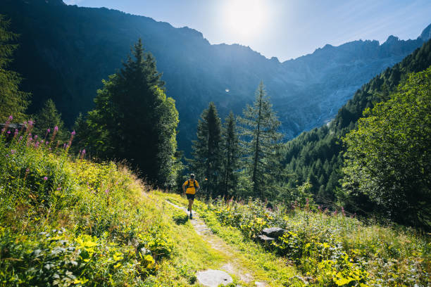 istock Trail runner bounds along mountain trail 1742923231