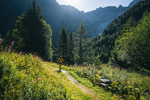 Wide angle landscape view of a meadow at the forest edge with a dividing walking path in the summer of 2019 amid blue with light clouds.