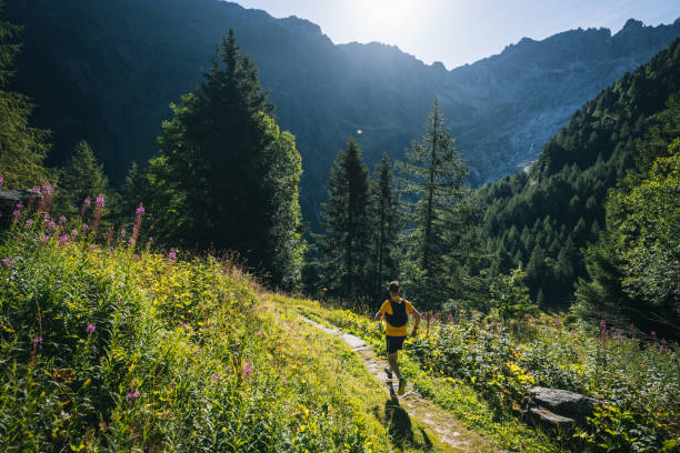 istock Trail runner bounds along mountain trail 1742923847