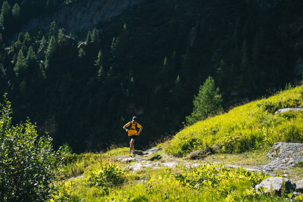istock Trail runner bounds along mountain trail 1742924447