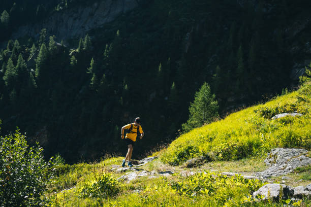 istock Trail runner bounds along mountain trail 1742924451