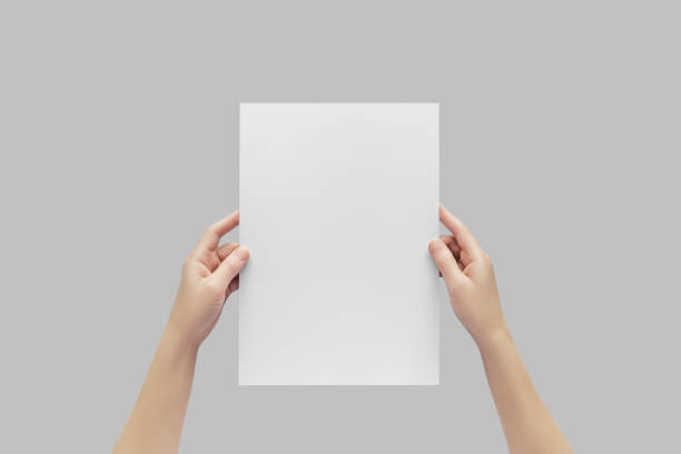 istock female hands hold empty a4 banner isolated on grey background. 1742932168