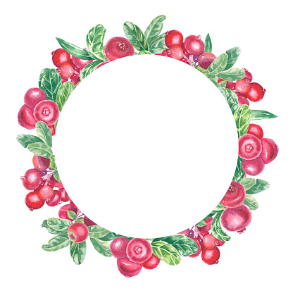 istock Wreath with hand painted red lingonberry, cowberry, cranberry and leaves. Watercolor botanical illustration isolated element on white background. Art for food design menu, logo, composition, frame 1742933913