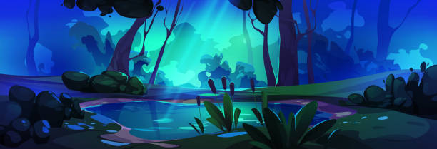 ilustrações de stock, clip art, desenhos animados e ícones de mysterious night forest landscape with swamp - rainforest tropical rainforest forest moonlight