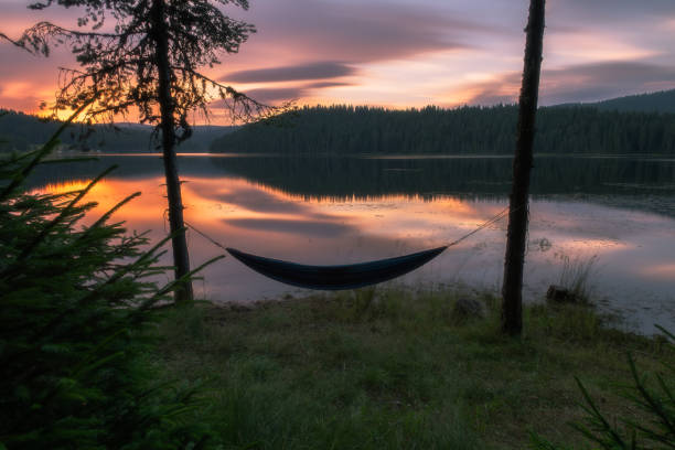 istock Hammock by the lake shore 1742945116