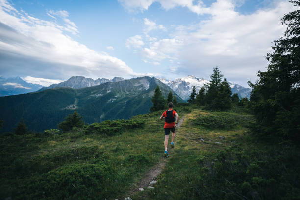 istock Trail runner bounds along mountain trail 1742946300