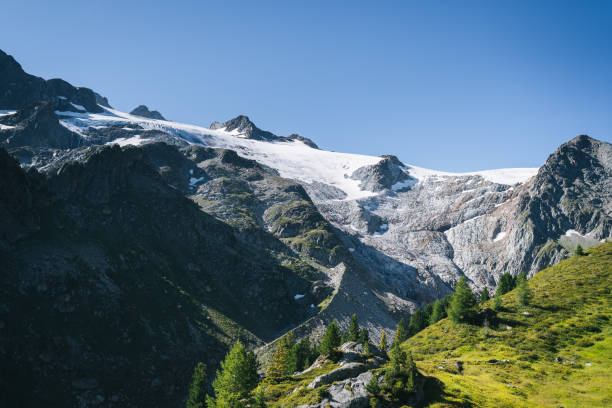 istock Alpine meadow and glaciated mountain 1742951892