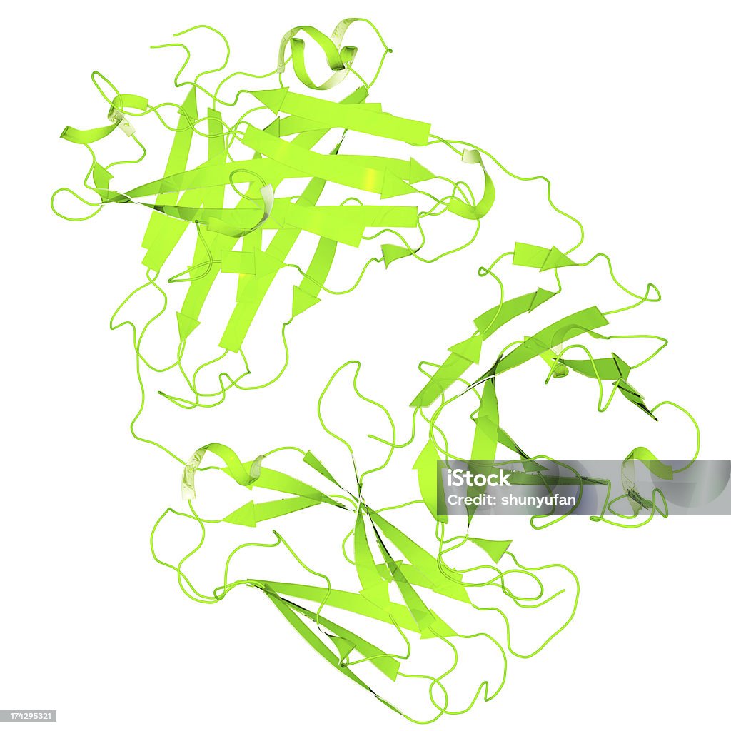 DrugModel: Cetuximab - 로열티 프리 3차원 형태 스톡 사진