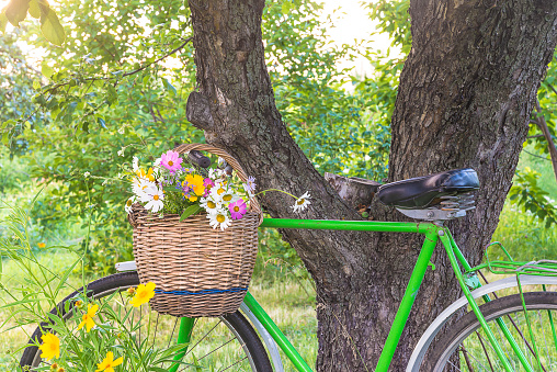 Old wicker basket with bunch of wild flowers on the vintage bicycle in the summer garden
