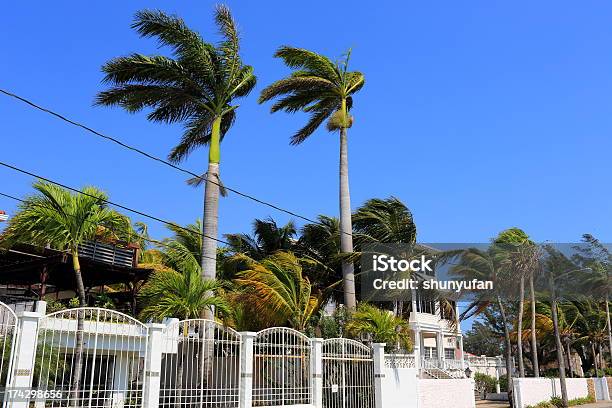 Caraíbas Belize - Fotografias de stock e mais imagens de Aldeia - Aldeia, América Central, América Latina