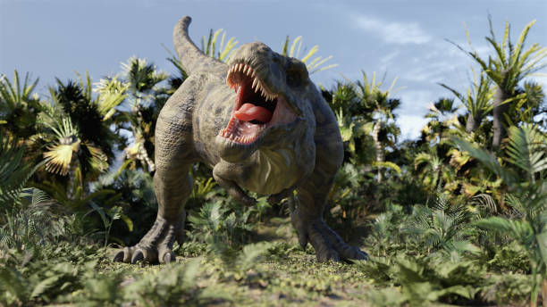 istock tyrannosaurus 04 1742988980
