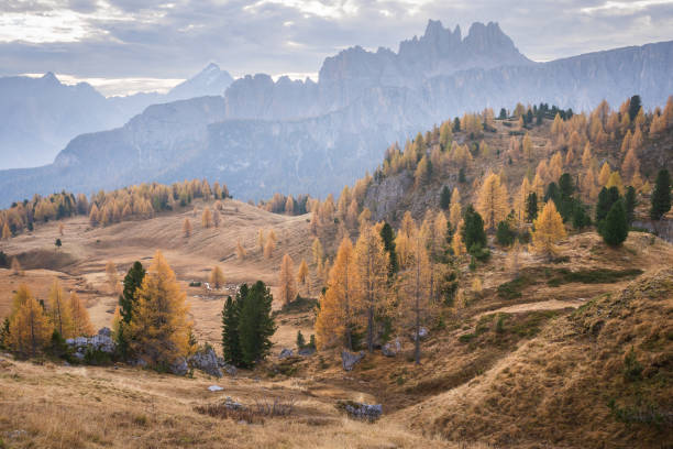istock Alpine landscape during fall with golden larches and sharp mountains in background, Italy, Europe 1743011405