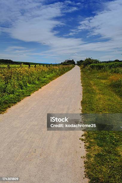 Greenway — стоковые фотографии и другие картинки Без людей - Без людей, Вертикальный, Время года