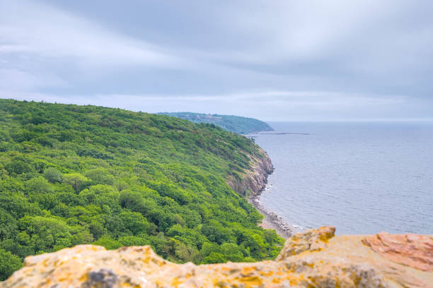 la vue du littoral depuis les ruines de l’ancien château d’hammershus au nord de bornholm, au danemark - hammershus photos et images de collection