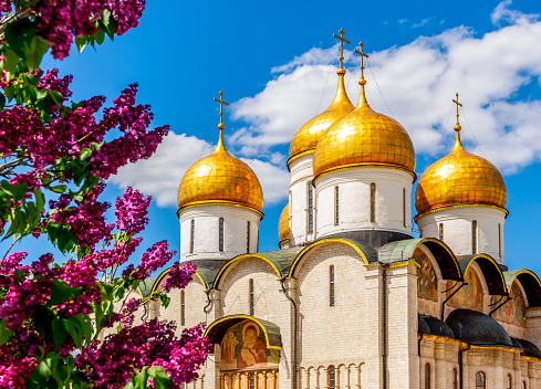 Cathedral of the Dormition (Uspensky Sobor) or Assumption Cathedral of Moscow Kremlin in spring, Russia