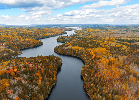 Aerial drone photograph over Saint John River in New Brunswick with fall colours on trees
