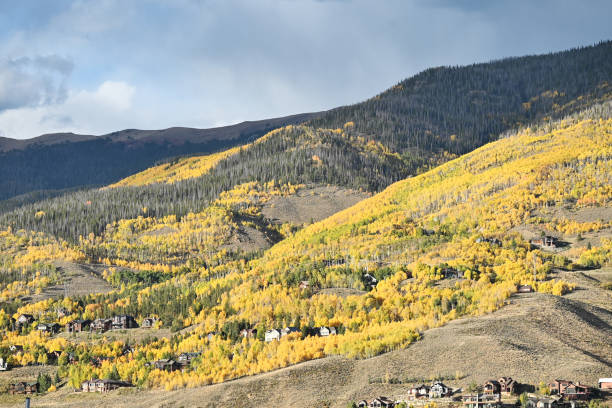 istock Colorful Trees on the Mountains 1743032741